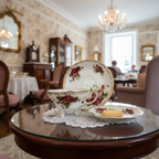 Chandelle de soya - Nos Élégantes et raffinées -Agnès