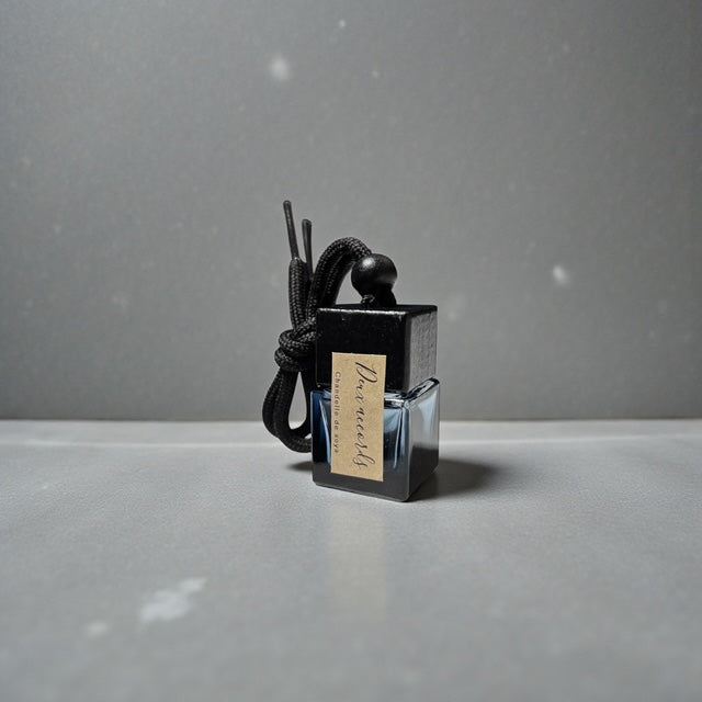 Diffuseur de parfum pour voiture